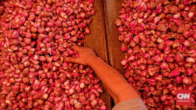 Melonjaknya Harga Bawang Merah, Bebani Kantong Masyarakat