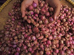 Harga Bawang Merah di Palembang Turun, Kini Menjadi Rp 42.000/Kg