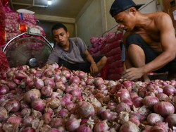 Harga Bawang Merah di Sumut Terus Melambung, di Toba-Sidimpuan Rp 60 Ribu per Kg