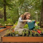 5 Tanaman yang Sebaiknya Tidak Ditanam Berdampingan, Wajib Tahu Ini Sebelum Berkebun