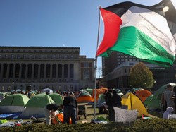Kritik Mengemuka Usai Kampus Top AS Malah Hukum Aktivis Pro-Palestina