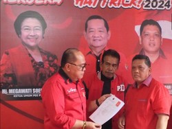 Gagal Kembali ke Senayan, Junimart Girsang Maju di Pilkada Dairi