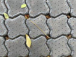 Cara Ampuh Bersihkan Lumut dan Rumput yang Tumbuh di Sela Paving Block