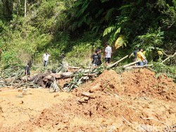 Tragedi Longsor Timpa Pejalan Kaki di Toraja Utara Tewaskan 2 Orang-1 Hilang
