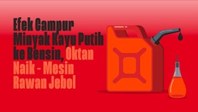 INFOGRAFIS: Efek Campur Minyak Kayu Putih ke Bensin
