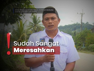 Imbas Bekas Tambang Timah, Buaya Muara Sering Masuk Hunian Warga