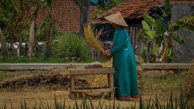 BRI Kembali Berdayakan Desa Lewat Program Desa BRILiaN 2024