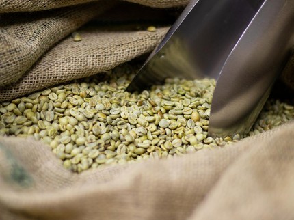 Panduan Cara Minum Green Coffee untuk Diet Turunkan Berat Badan