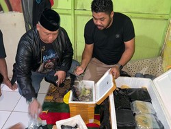 Awal Mula Polisi Gagalkan Penyelundupan 30 Kg Sabu di Pelabuhan Awerange Barru