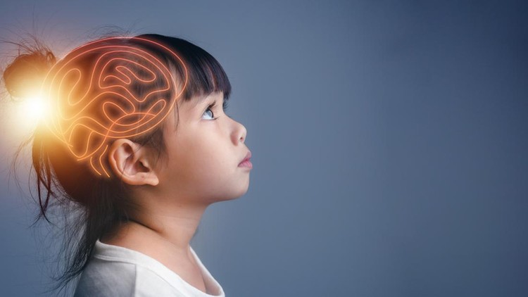 Ilustrasi Otak Anak