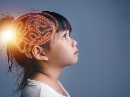 Ketahui Tahapan Perkembangan Otak Anak dan Cara Melatih Kecerdasannya