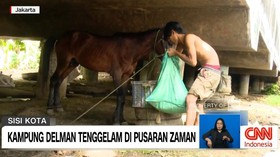 VIDEO: Kandang Delman di Kolong Tol Dalam Kota | Sisi Kota