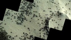 Satelit Tangkap Gambar Ratusan 'Laba-laba Hitam' di Kota Inca Mars