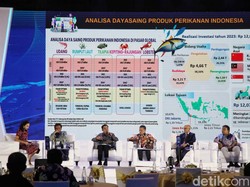 Geber Hilirisasi Rumput Laut, Kantor Luhut Mau Luncurkan Pusat Riset Internasional