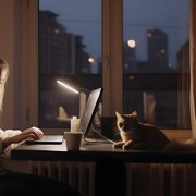 Nggak Selamanya Buruk, Ini 5 Manfaat Tersembunyi Menjadi Night Owl Person