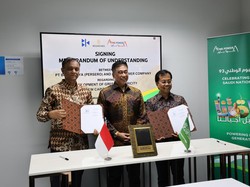Perusahaan Arab Saudi Garap Pembangkit Listrik Hijau di IKN