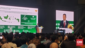 Janji Manis Luhut Buat Microsoft