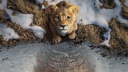 Bertabur Bintang, 'Mufasa: The Lion King' Rilis Trailer