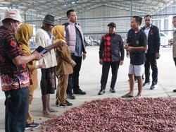 Satgas Pangan Polri Ungkap Penyebab Gagal Panen Bawang Merah di Brebes