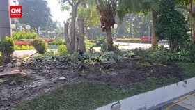 VIDEO: Taman Surya Surabaya Rusak Usai Dipakai Nobar Timnas