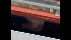 img-title Kronologi Penumpang Wanita Terjatuh & Terjebak di Kolong KRL Peron Stasiun UI