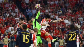 5 Fakta Jelang Madrid vs Bayern di Liga Champions