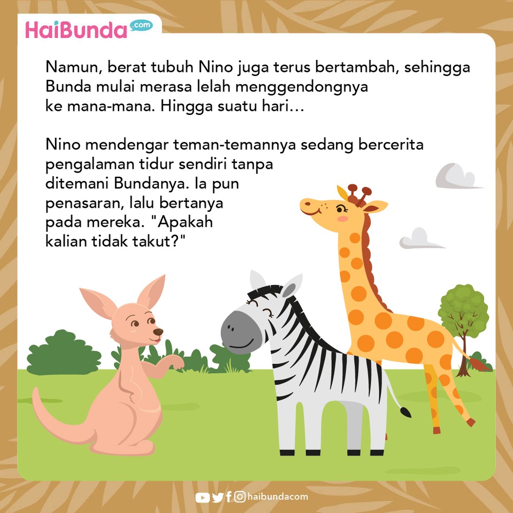 Cerita Fabel Nino Si Kanguru Belajar Tidur Sendiri