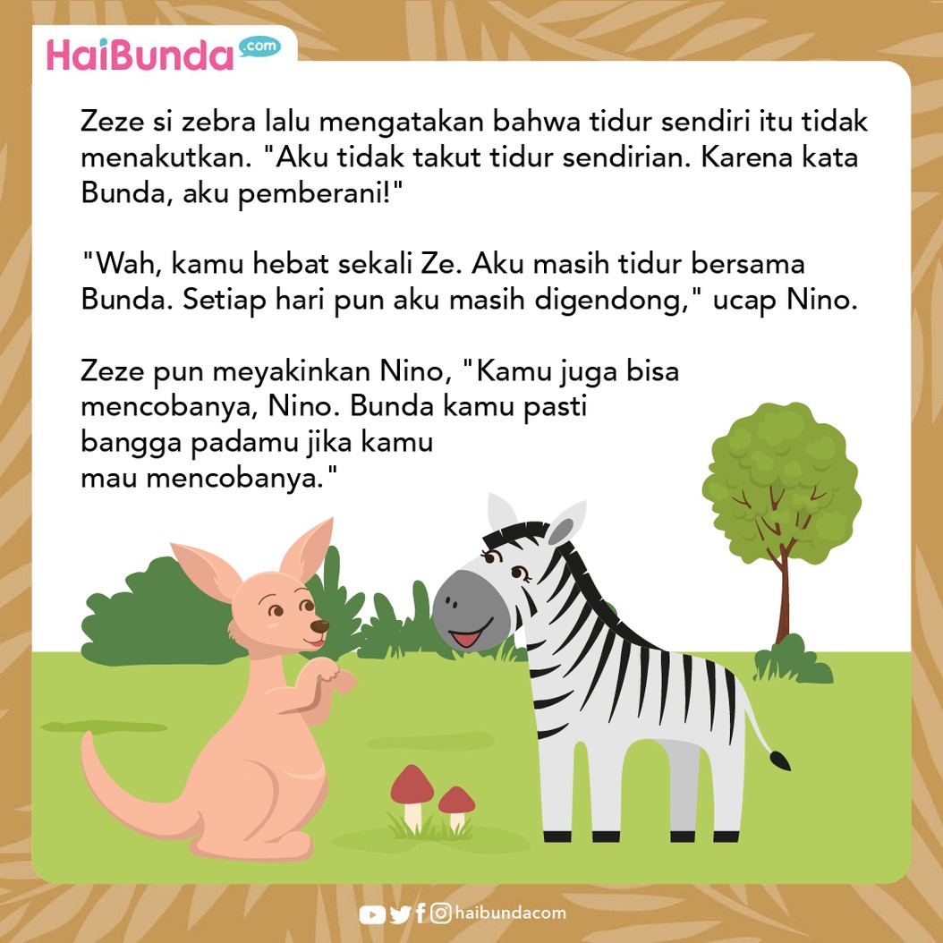 Cerita Fabel Nino Si Kanguru Belajar Tidur Sendiri