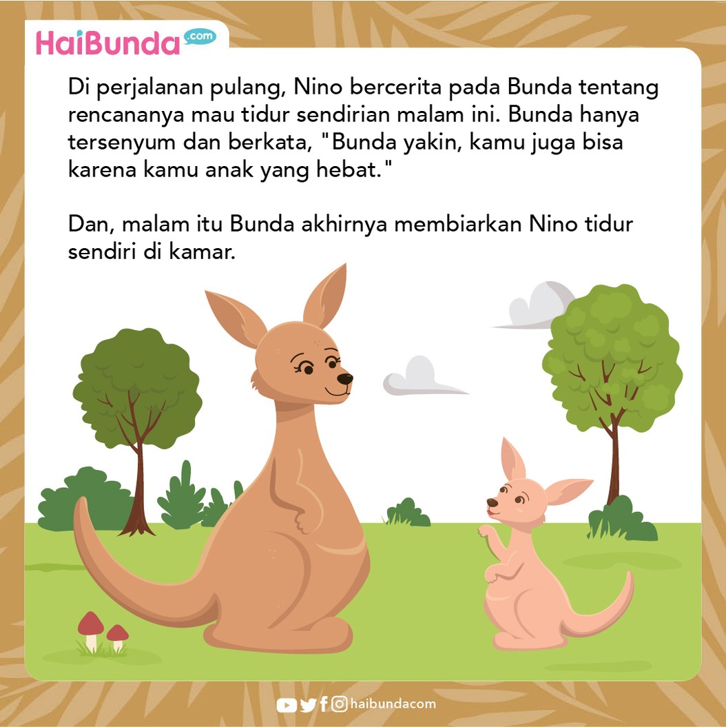 Cerita Fabel Nino Si Kanguru Belajar Tidur Sendiri