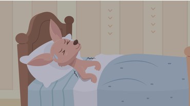 img-title Cerita Fabel: Nino Si Kanguru Belajar Tidur Sendiri