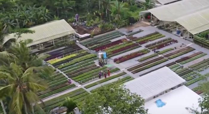5 Desa Wisata Indonesia yang Terkenal di Kancah Internasional