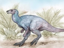 Heboh Fosil Dinosaurus di Argentina, Berusia 90 Juta Tahun