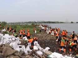 DLH DKI Bersih-bersih Pesisir Marunda Kepu, 83 Meter Kubik Sampah Diangkut