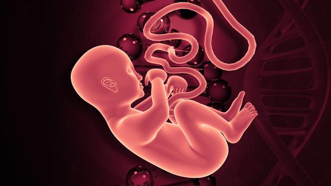 Kenali Prolaps Tali Pusat, Kondisi Posisi Tali Pusar Mendahului Bayi