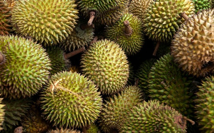 7 Makanan Terlarang di Berbagai Negara, Ada Saus Tomat!