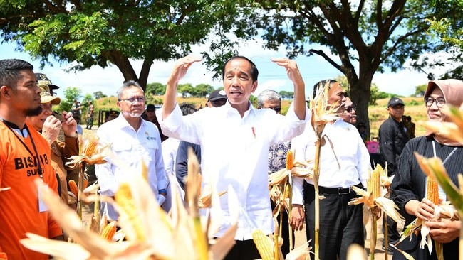 Presiden Jokowi mengingatkan potensi gelombang panas yang melanda Indonesia sepanjang Juli hingga Oktober mendatang.