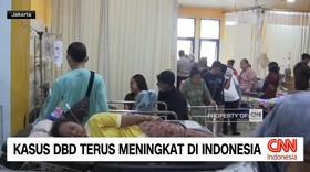 VIDEO: Kasus DBD Terus Meningkat di Indonesia