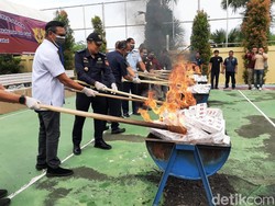 9,2 Juta Batang Rokok Ilegal Senilai Rp 19 Miliar di Aceh Dimusnahkan