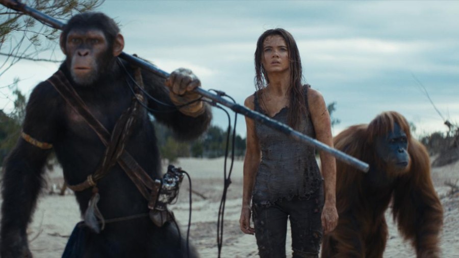Sinopsis dan 5 Karakter Baru di 'Kingdom of the Planet of the Apes'