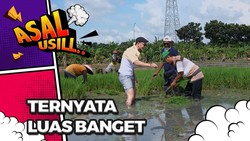 Benarkah Jakarta Masih Ada Sawah? Cek Buktinya!