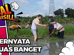 Benarkah Jakarta Masih Ada Sawah? Cek Buktinya!