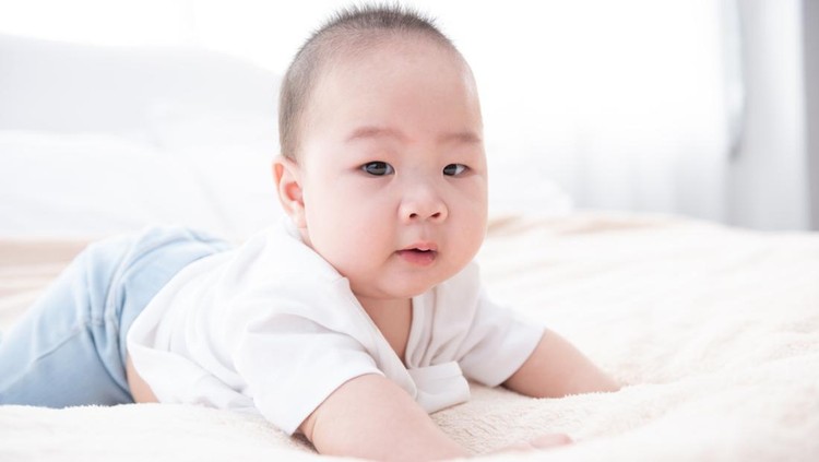 Ilustrasi Bayi Obesitas