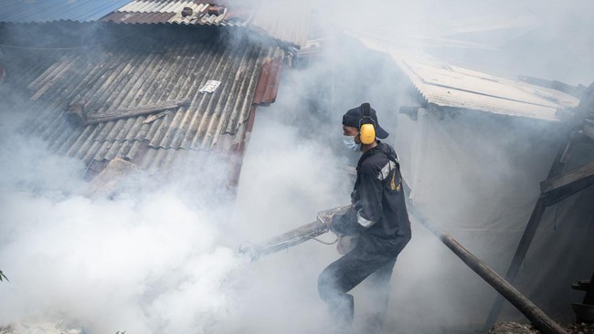 Satpol PP Kota Jakarta Timur bakal menjatuhkan sanksi denda Rp50 juta kepada warga yang rumahnya terdapat jentik nyamuk aedes aegypti atau penjara 2-3 bulan.