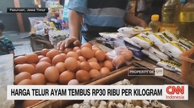 VIDEO: Harga Telur Ayam Tembus Rp.30 Ribu Per Kilogram