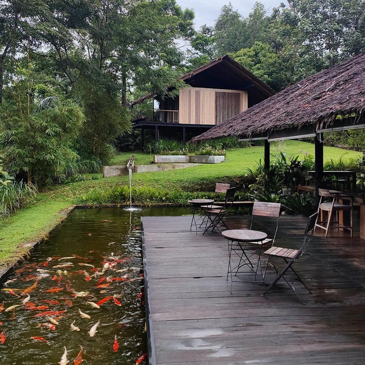 <p>Di area luar penginapan terdapat ruang bersantai yang bisa digunakan para tamu untuk menikmati pemandangan alam dan menikmati sajian yang disediakan di restoran. Di sekitar area ini juga dibangun kolam ikan. (Foto: Instagram @nicholassaputra @terrariotangkahan)</p>