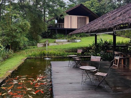 5 Potret Penginapan Milik Nicholas Saputra di Tengah Hutan