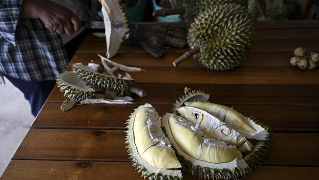 FOTO: Gelombang Panas Ancam Produksi Durian Thailand, Kini Mengecil