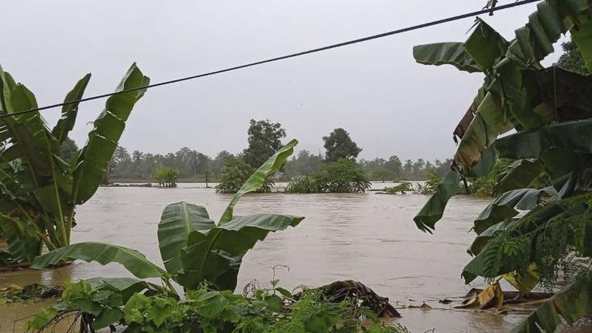 Sungai Batang di Agam Meluap Lagi, Kayu Gelondongan Tumpah ke Jalan