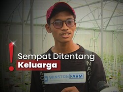 Kisah Adi Latif Petani Milenial yang Tinggalkan Korsel ke Blora