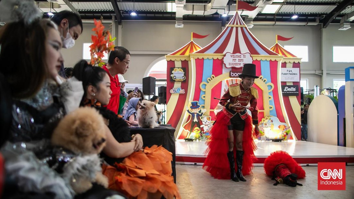 FOTO: Gemasnya Tingkah Lucu Anjing di Pet Expo 2024
